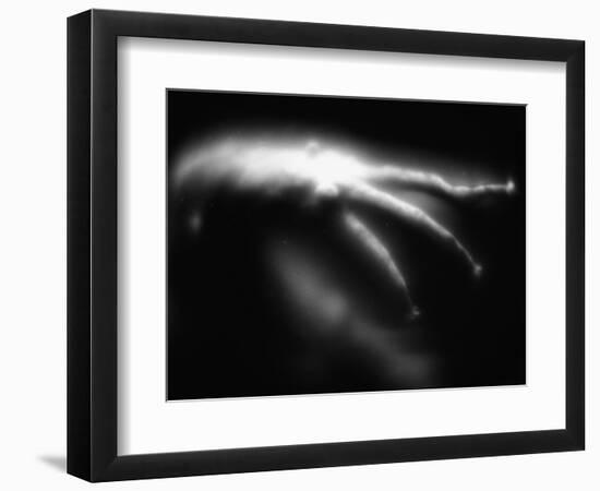 Blurred Sea Slug-Henry Horenstein-Framed Photographic Print