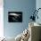 Blurred Sea Slug-Henry Horenstein-Photographic Print displayed on a wall