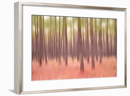 Blurred Trees 5-Moises Levy-Framed Giclee Print