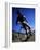 Blurred View of Cyclist-null-Framed Photographic Print