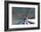 Blurred View of Subway Tunnel, Kuala Lumpur, Malaysia-Paul Souders-Framed Photographic Print