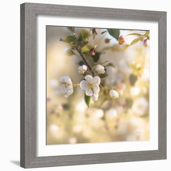 Blush Blossoms I Square Pastel-Sue Schlabach-Framed Art Print