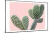 Blush Cactus 1 v2-Kimberly Allen-Mounted Art Print