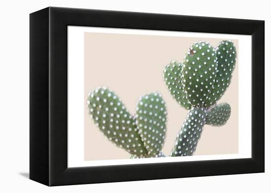 Blush Cactus 1-Kimberly Allen-Framed Stretched Canvas