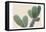 Blush Cactus 1-Kimberly Allen-Framed Stretched Canvas