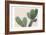 Blush Cactus 1-Kimberly Allen-Framed Premium Giclee Print