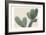 Blush Cactus 1-Kimberly Allen-Framed Premium Giclee Print