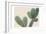 Blush Cactus 1-Kimberly Allen-Framed Premium Giclee Print