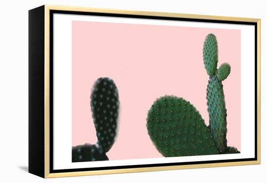 Blush Cactus 2 v2-Kimberly Allen-Framed Stretched Canvas