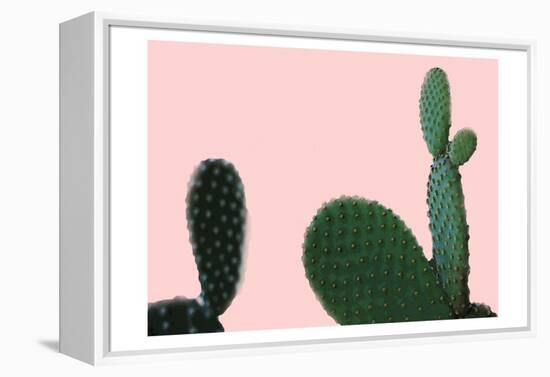 Blush Cactus 2 v2-Kimberly Allen-Framed Stretched Canvas