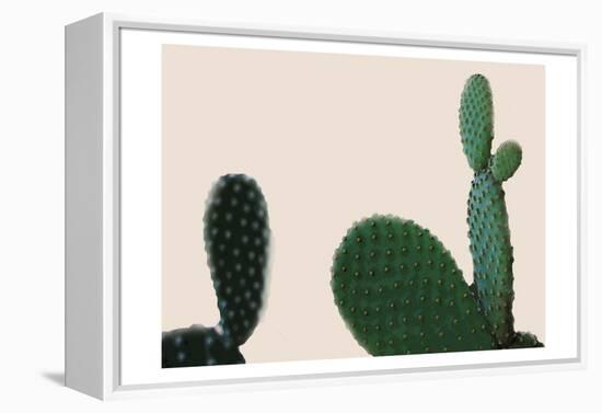 Blush Cactus 2-Kimberly Allen-Framed Stretched Canvas