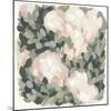 Blush & Celadon II-null-Mounted Art Print