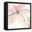 Blush Clematis II-Chris Paschke-Framed Stretched Canvas