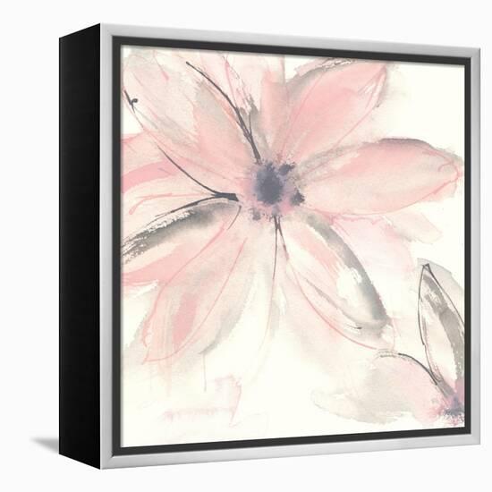 Blush Clematis II-Chris Paschke-Framed Stretched Canvas