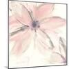 Blush Clematis II-Chris Paschke-Mounted Art Print