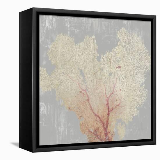 Blush Coral I-Aimee Wilson-Framed Stretched Canvas