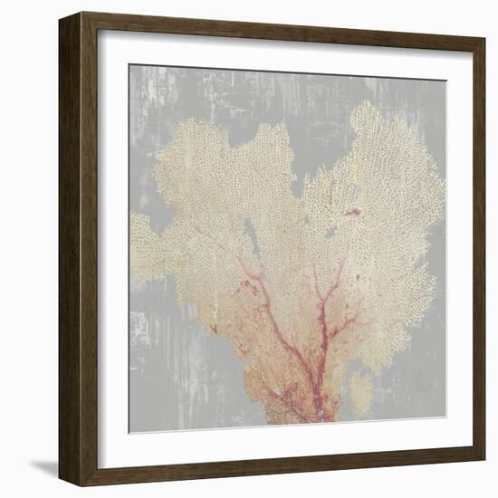 Blush Coral I-Aimee Wilson-Framed Art Print