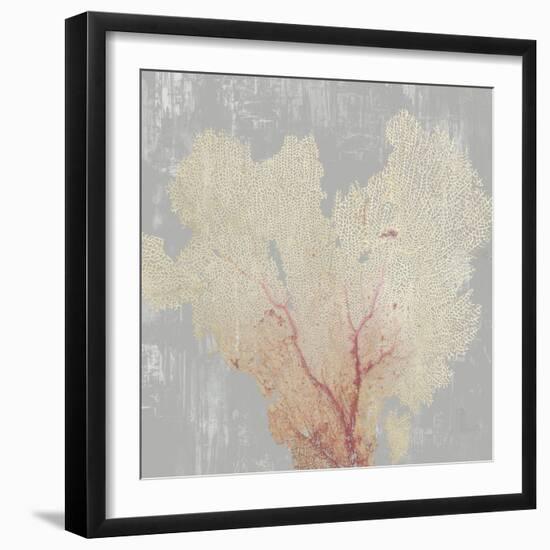 Blush Coral I-Aimee Wilson-Framed Art Print