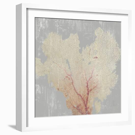 Blush Coral I-Aimee Wilson-Framed Art Print