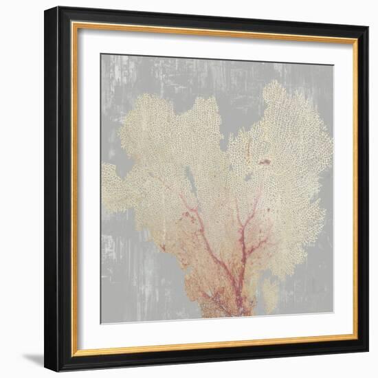 Blush Coral I-Aimee Wilson-Framed Art Print