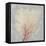 Blush Coral II-Aimee Wilson-Framed Stretched Canvas