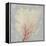 Blush Coral II-Aimee Wilson-Framed Stretched Canvas