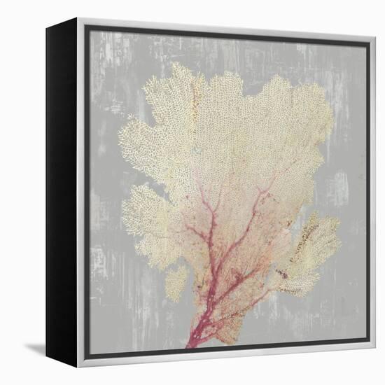 Blush Coral II-Aimee Wilson-Framed Stretched Canvas