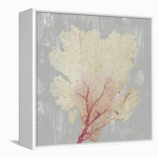 Blush Coral II-Aimee Wilson-Framed Stretched Canvas