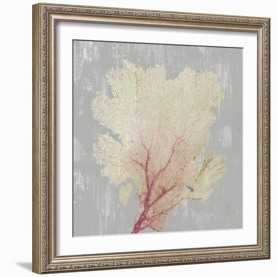 Blush Coral II-Aimee Wilson-Framed Art Print