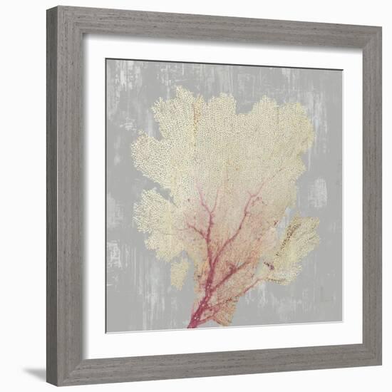 Blush Coral II-Aimee Wilson-Framed Art Print