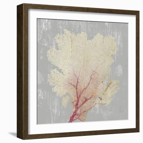 Blush Coral II-Aimee Wilson-Framed Art Print