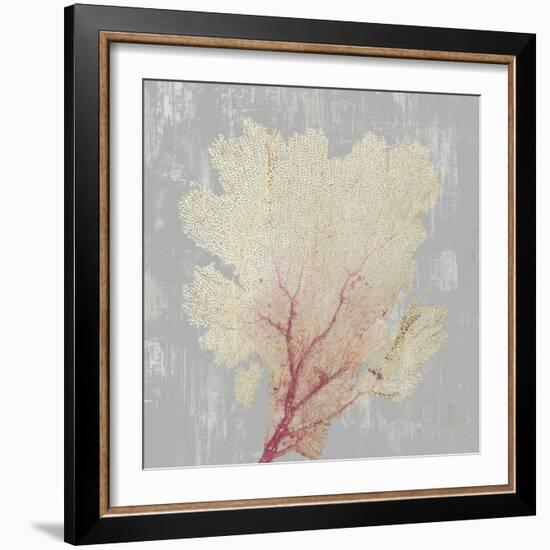 Blush Coral II-Aimee Wilson-Framed Art Print