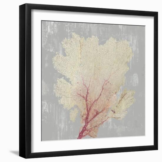 Blush Coral II-Aimee Wilson-Framed Art Print