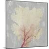 Blush Coral II-Aimee Wilson-Mounted Art Print