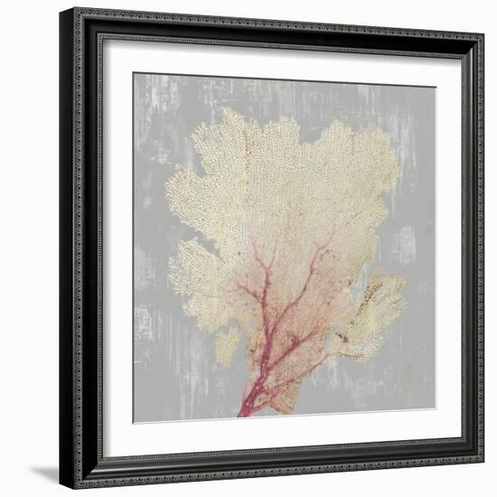 Blush Coral II-Aimee Wilson-Framed Art Print