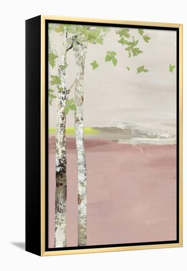 Blush Infinity I-Allison Pearce-Framed Stretched Canvas