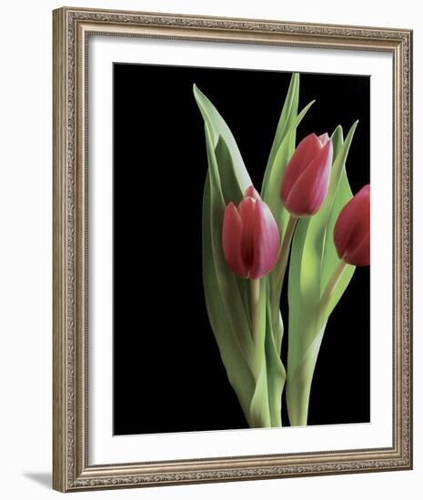 Blush of Spring II-Monika Burkhart-Framed Photo