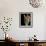 Blush of Spring II-Monika Burkhart-Framed Photo displayed on a wall