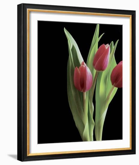 Blush of Spring II-Monika Burkhart-Framed Photo