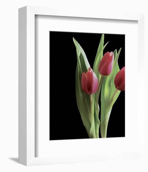 Blush of Spring II-Monika Burkhart-Framed Photo