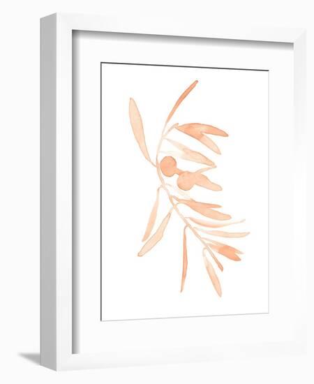 Blush Olive Branch I-Emma Scarvey-Framed Art Print