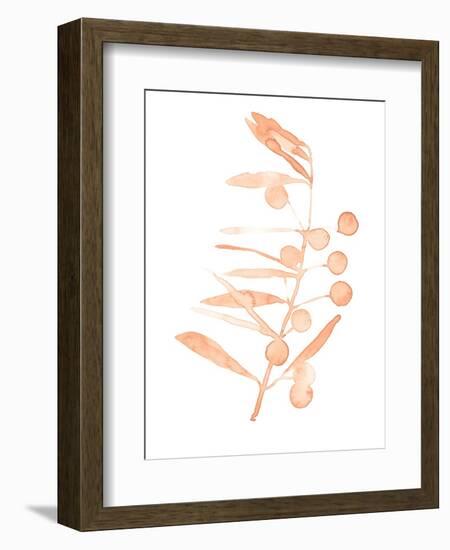Blush Olive Branch III-Emma Scarvey-Framed Art Print