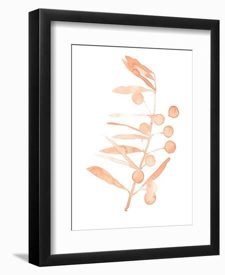 Blush Olive Branch III-Emma Scarvey-Framed Art Print