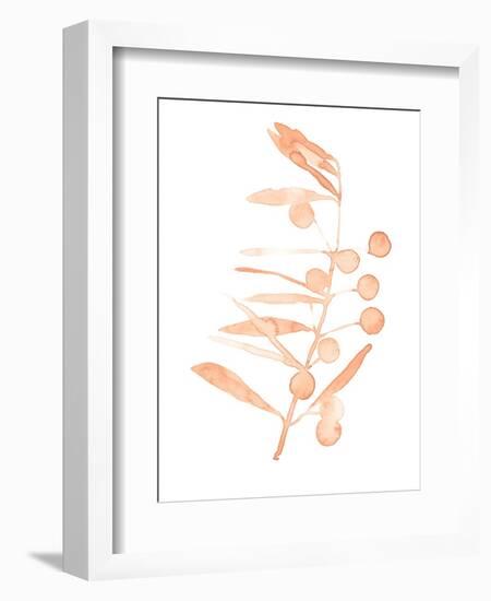 Blush Olive Branch III-Emma Scarvey-Framed Art Print