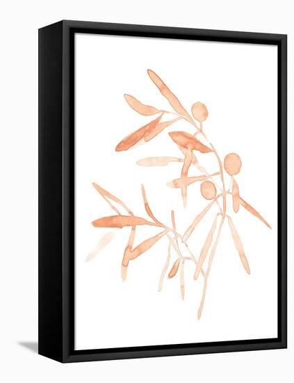 Blush Olive Branch IV-Emma Scarvey-Framed Stretched Canvas