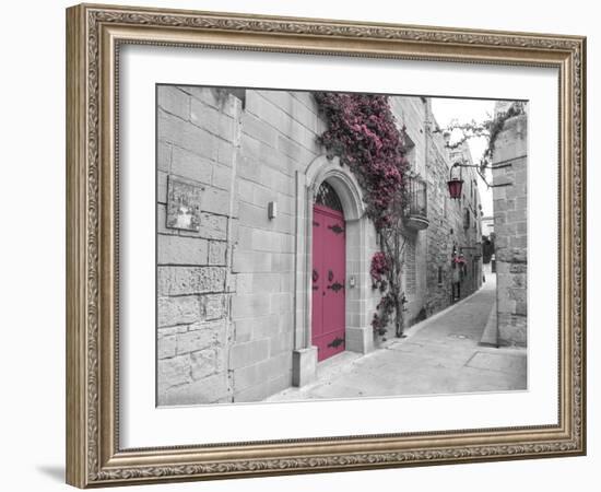 Blush Path-Assaf Frank-Framed Giclee Print