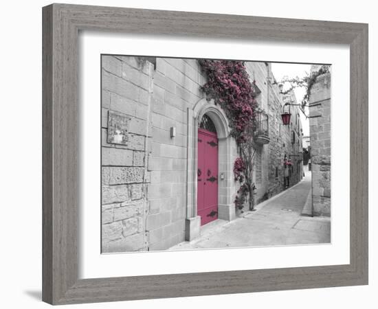 Blush Path-Assaf Frank-Framed Giclee Print