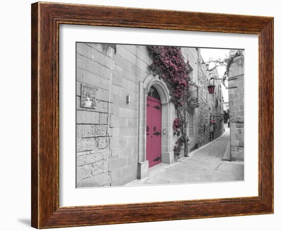 Blush Path-Assaf Frank-Framed Giclee Print