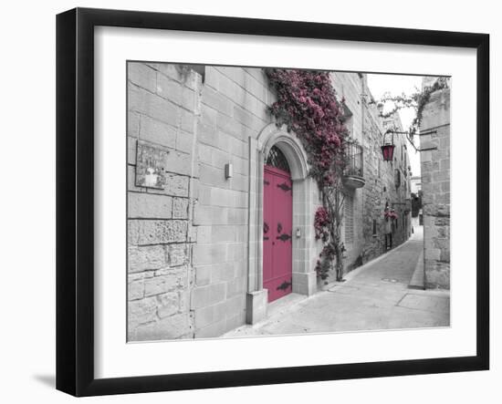 Blush Path-Assaf Frank-Framed Giclee Print