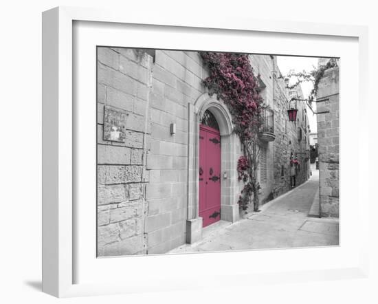 Blush Path-Assaf Frank-Framed Giclee Print